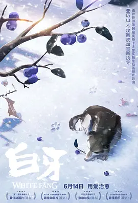 国产一区二区高清